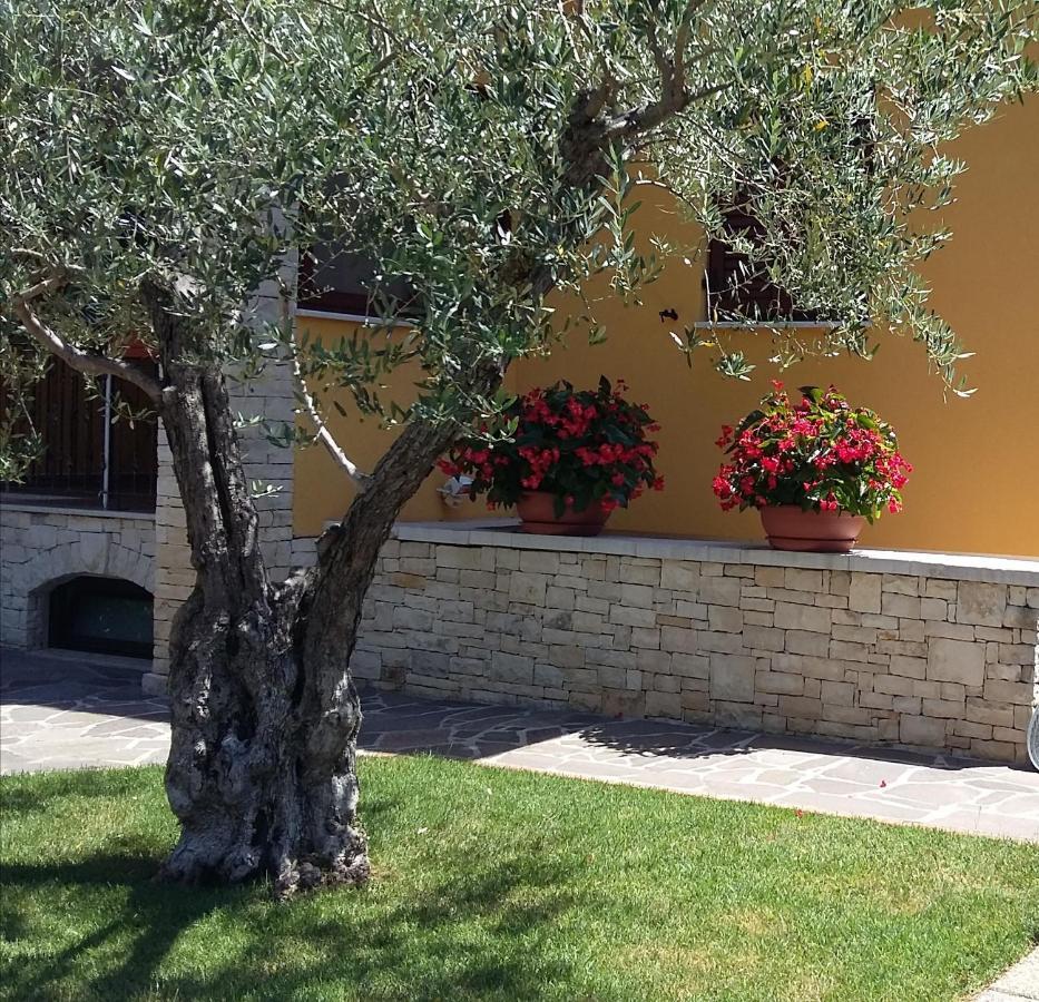 Studio Apartments Pinia-Marina Porec Exterior photo
